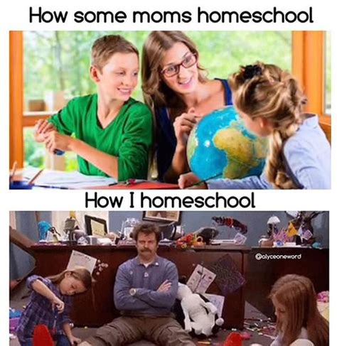 funny homeschool homeschool memes